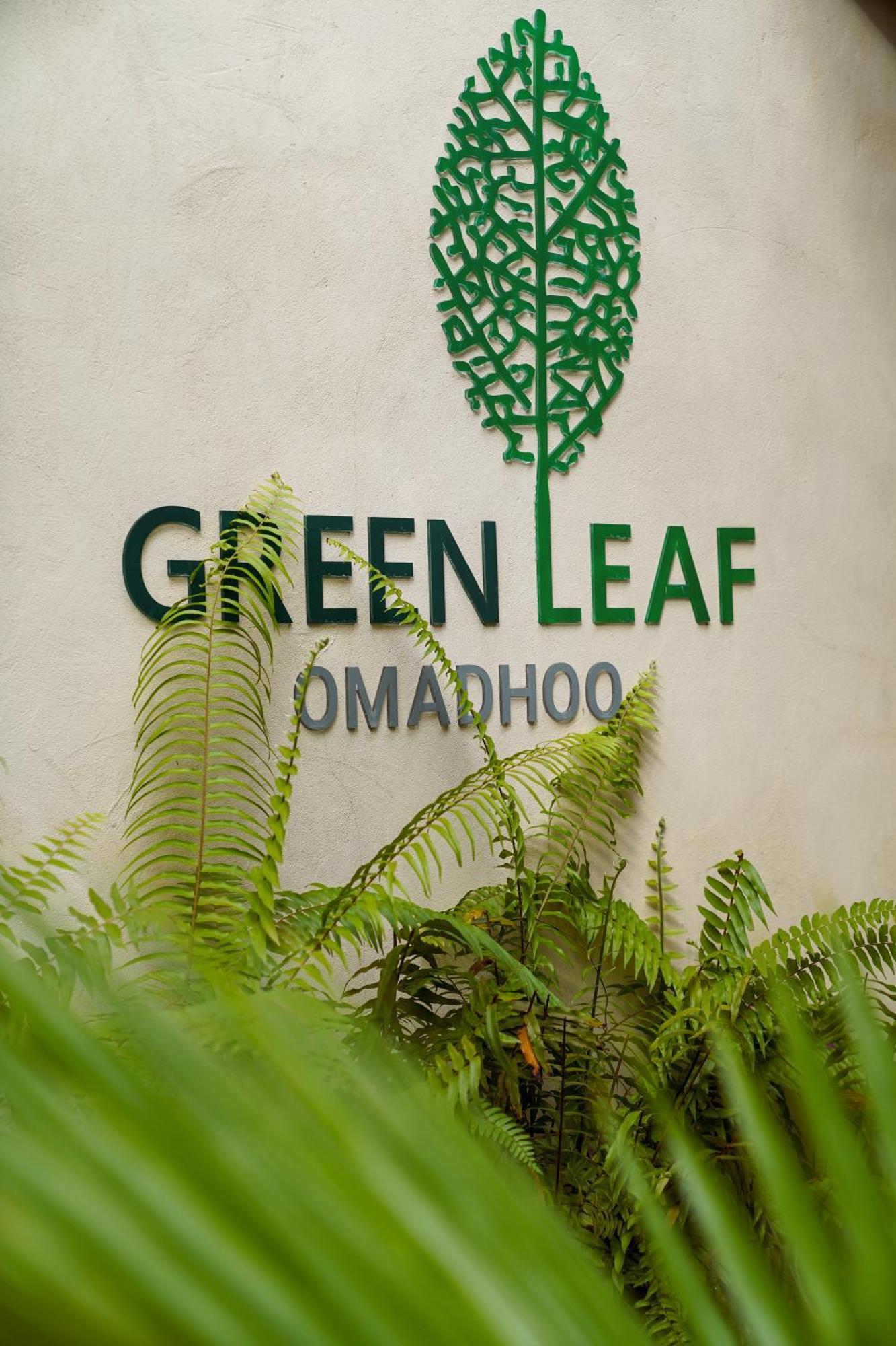 Green Leaf Guest House - Omadhoo Exterior foto